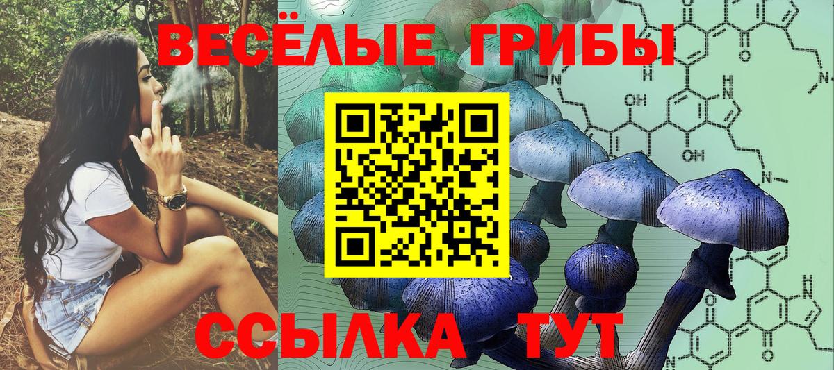 Пенза  Псилоцибиновые грибы мицелий  Вход с VPN 